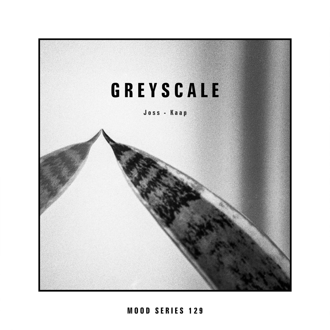 image cover: Joss - Kaap on Greyscale