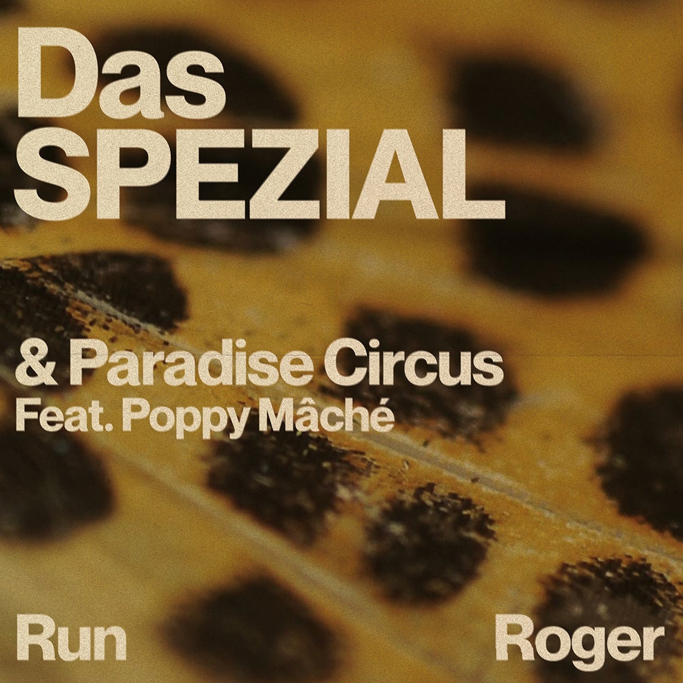 Cover Image for VA - Run Roger on SPEZIAL