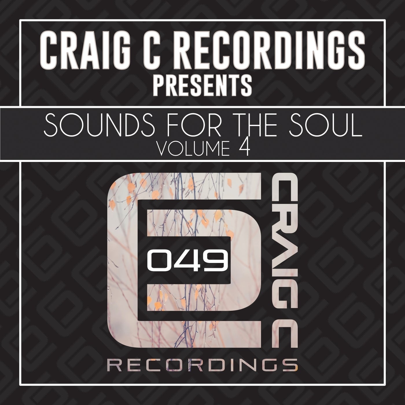 Cover Image for Craig C, Kim Dawson, Stacy Kidd - Sounds For The Soul, Vol.4 on Craig C Recordings