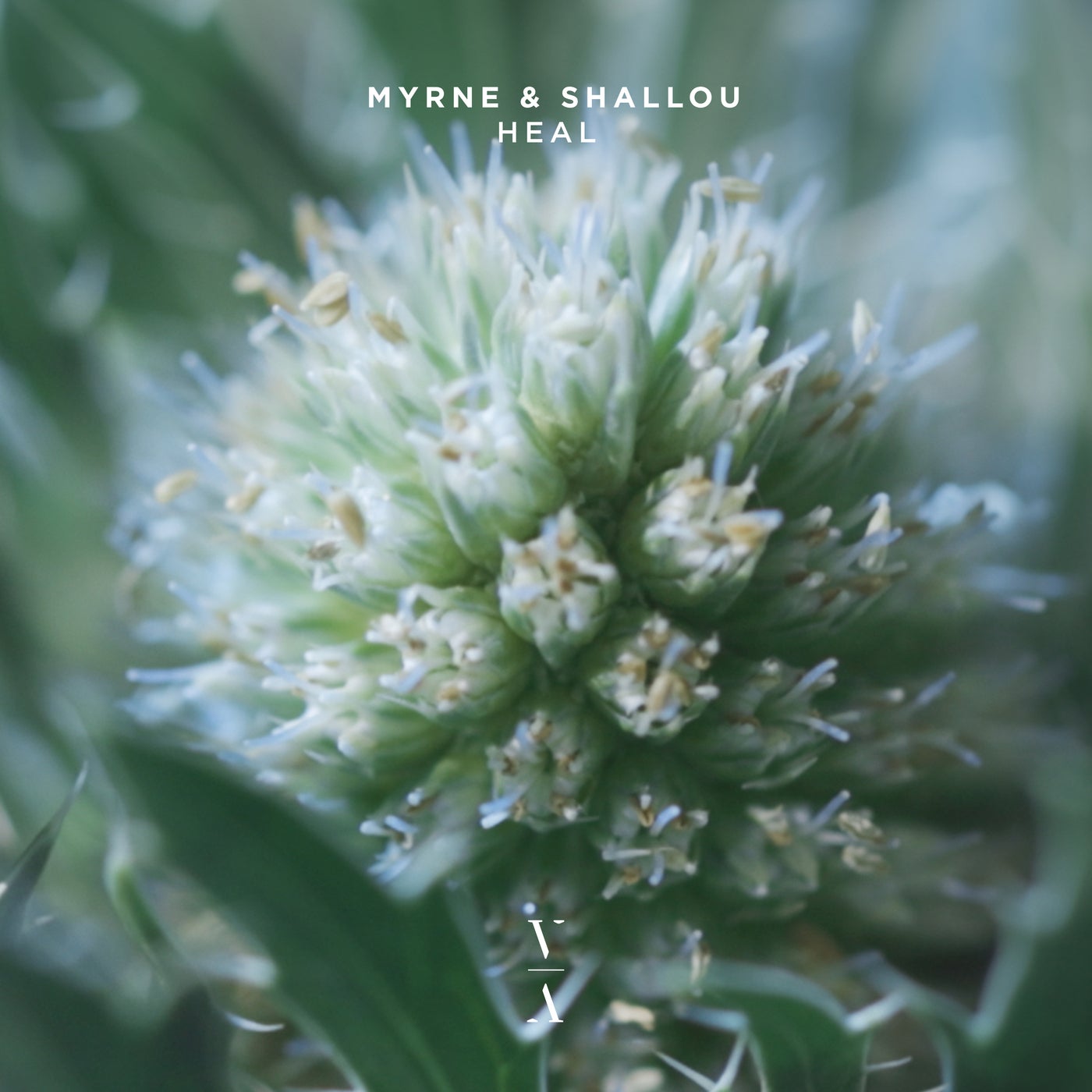 Cover Image for MYRNE, Shallou - Heal on This Never Happened