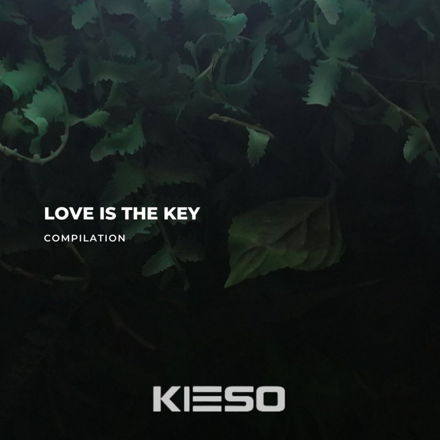 Cover Image for Dual Shok, Marcelo Adami, Dirty Moog - Love Is the Key on Kieso Music