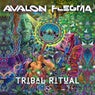 Cover Image for Tribal Ritual Original Mix