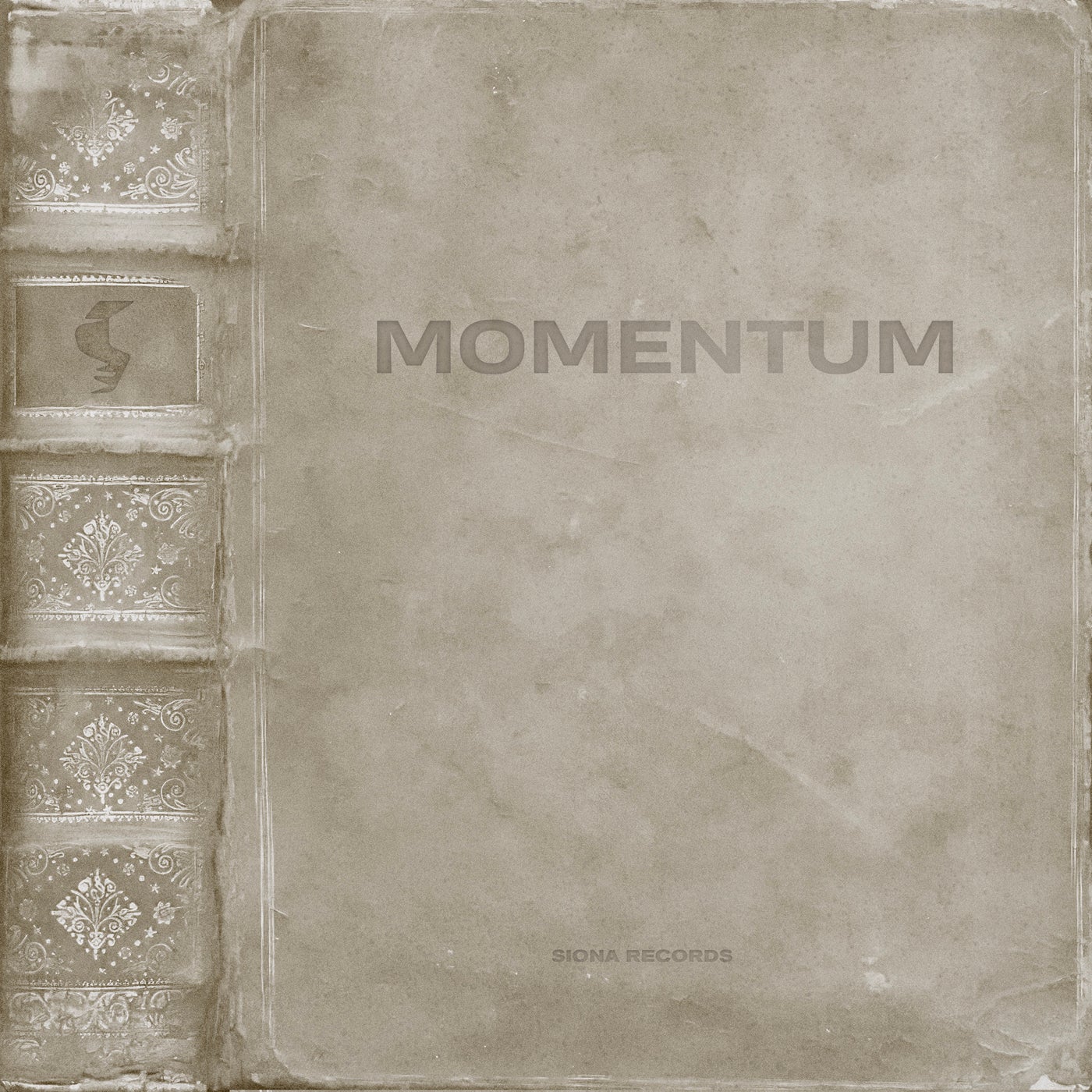 image cover: VA - Momentum on Siona Records