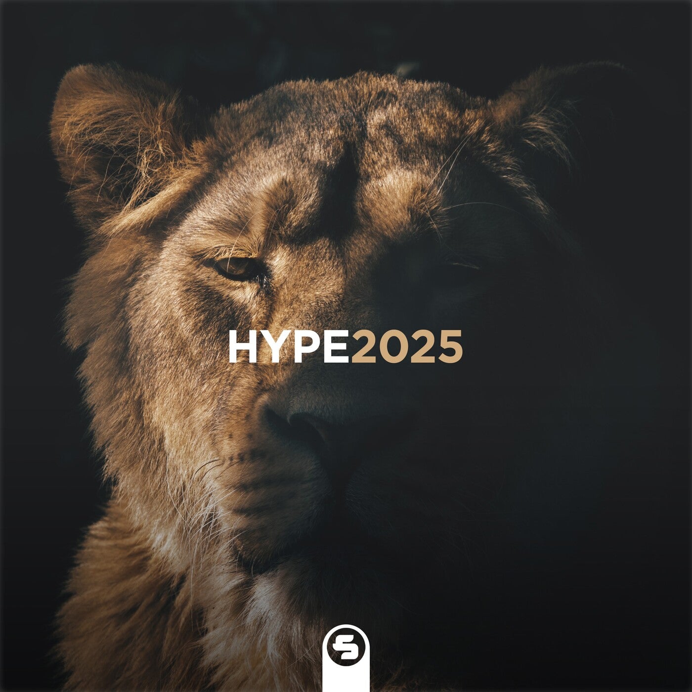 image cover: VA - Hype2025 on Sirup Music