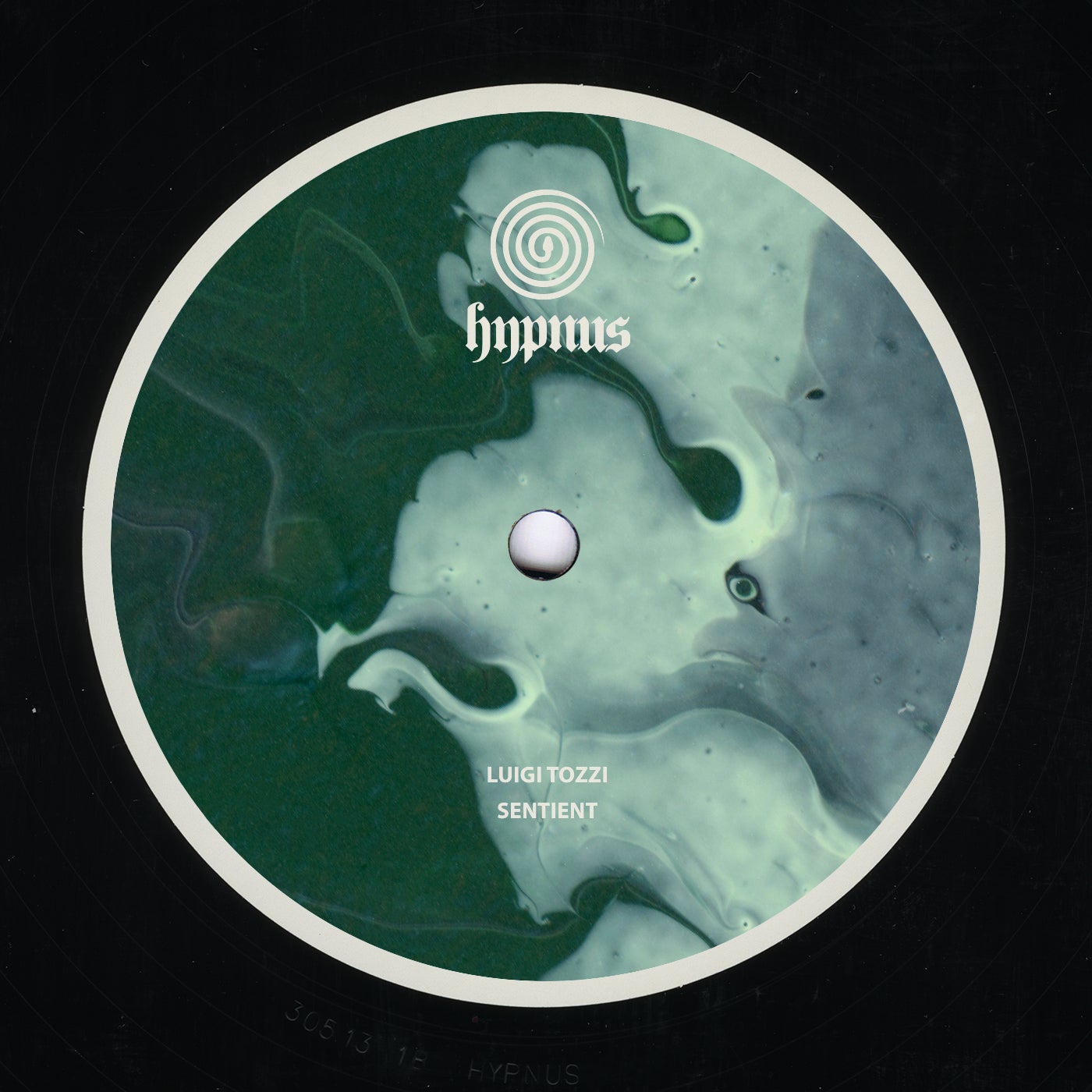 image cover: Luigi Tozzi - Sentient on Hypnus Records