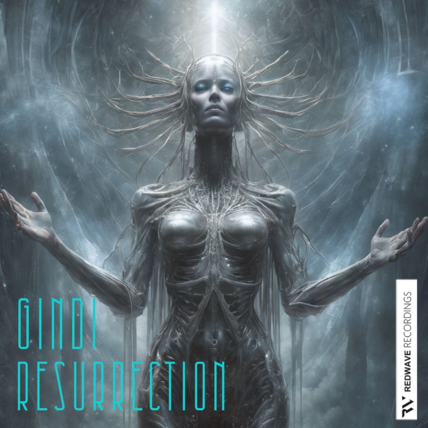 Cover Image for Gindi - Resurrection on Redwave Recordings