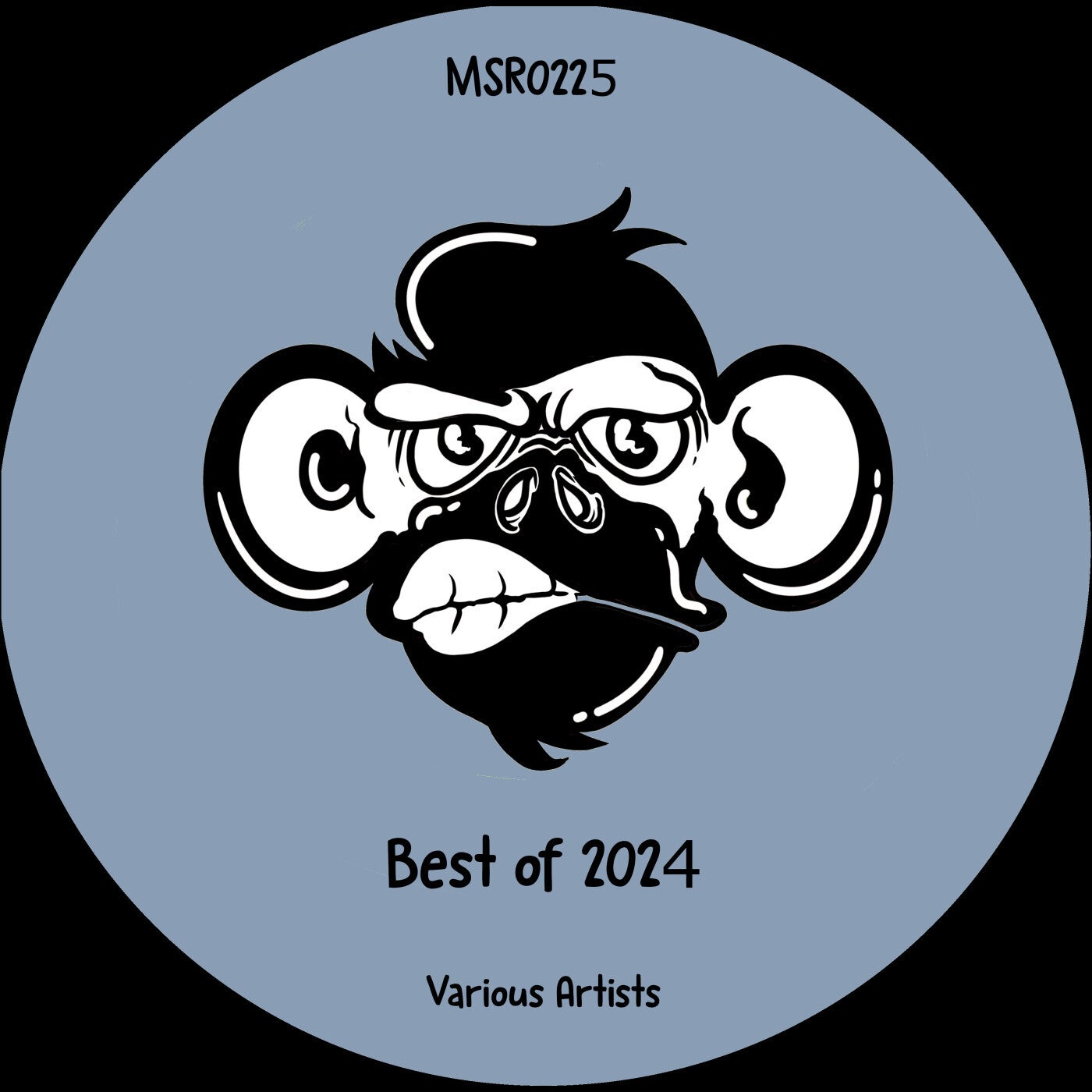 Cover Image for VA - Best of 2024 on Monkey Stereo Records