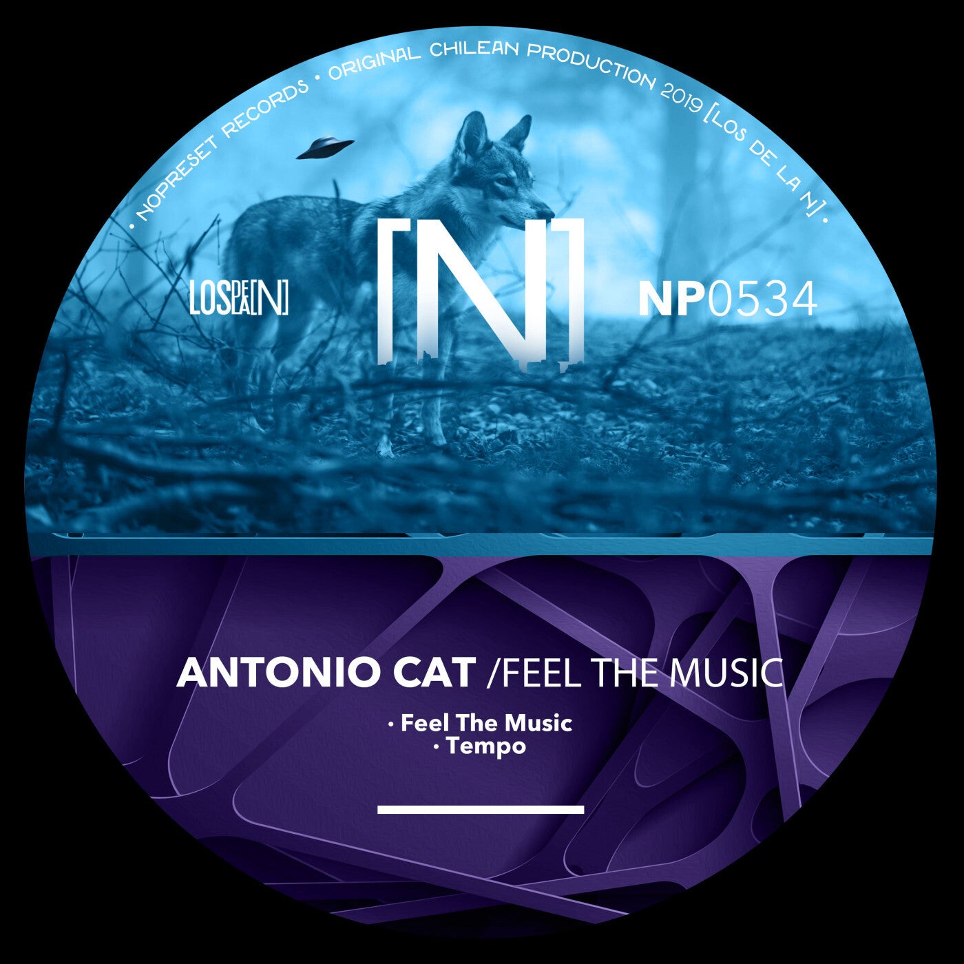 Cover Image for Antonio Cat - Feel The Music on NOPRESET Records