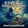 Cover Image for Still Standing Original Mix