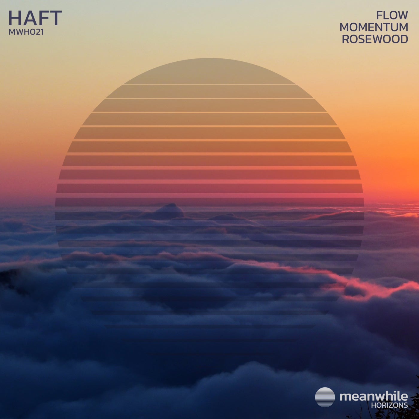 image cover: HAFT - Flow / Momentum / Rosewood on Meanwhile Horizons