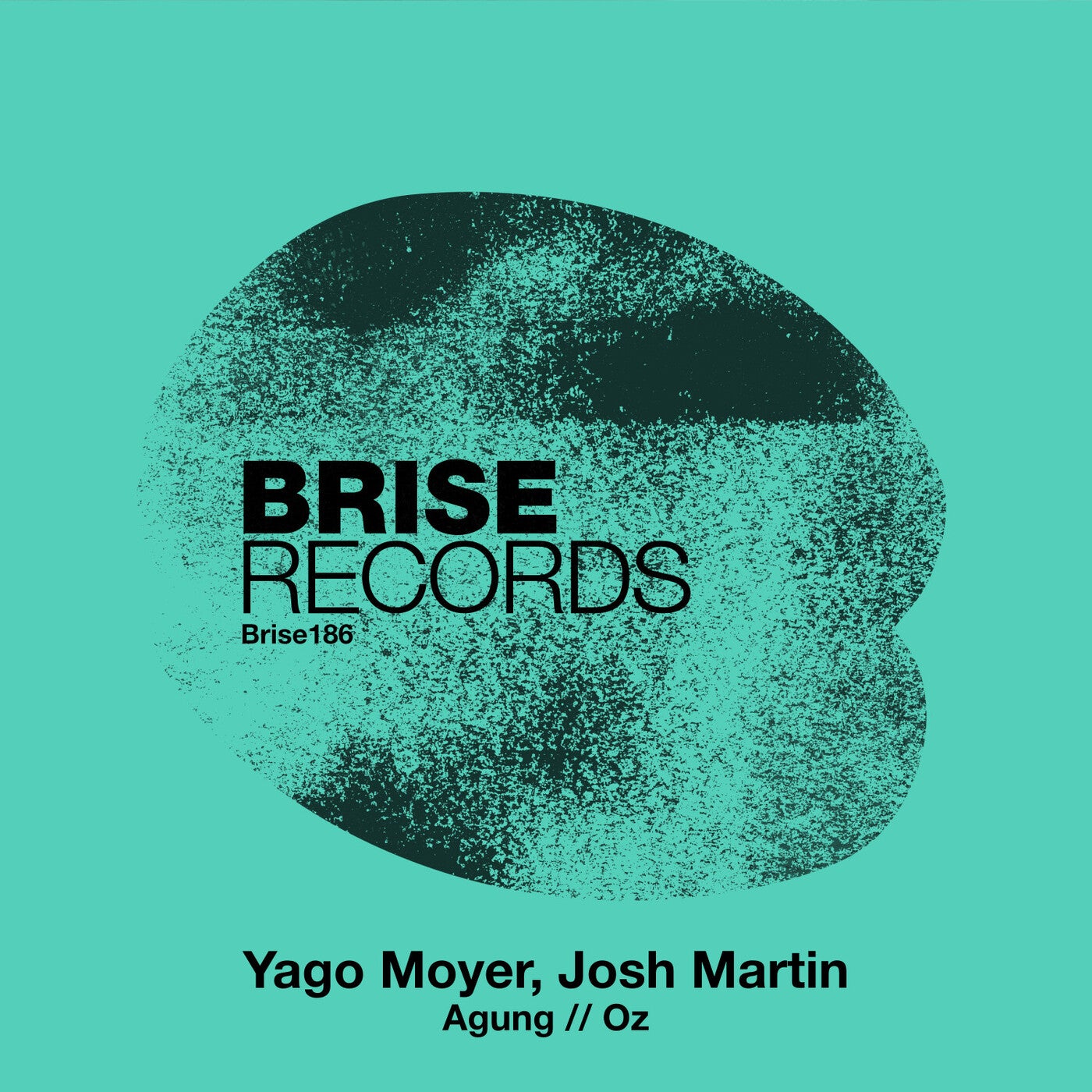 image cover: Josh Martin, Yago Moyer - Agung / Oz on Brise Records