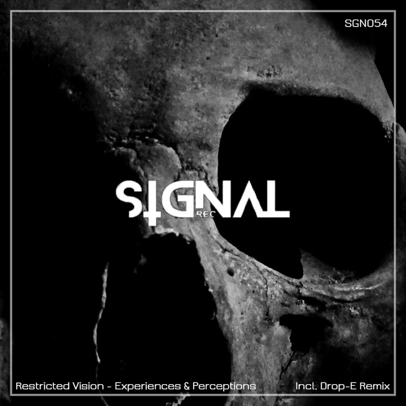 image cover: Restricted Vision - Experiences & Perceptions on Signal LTD