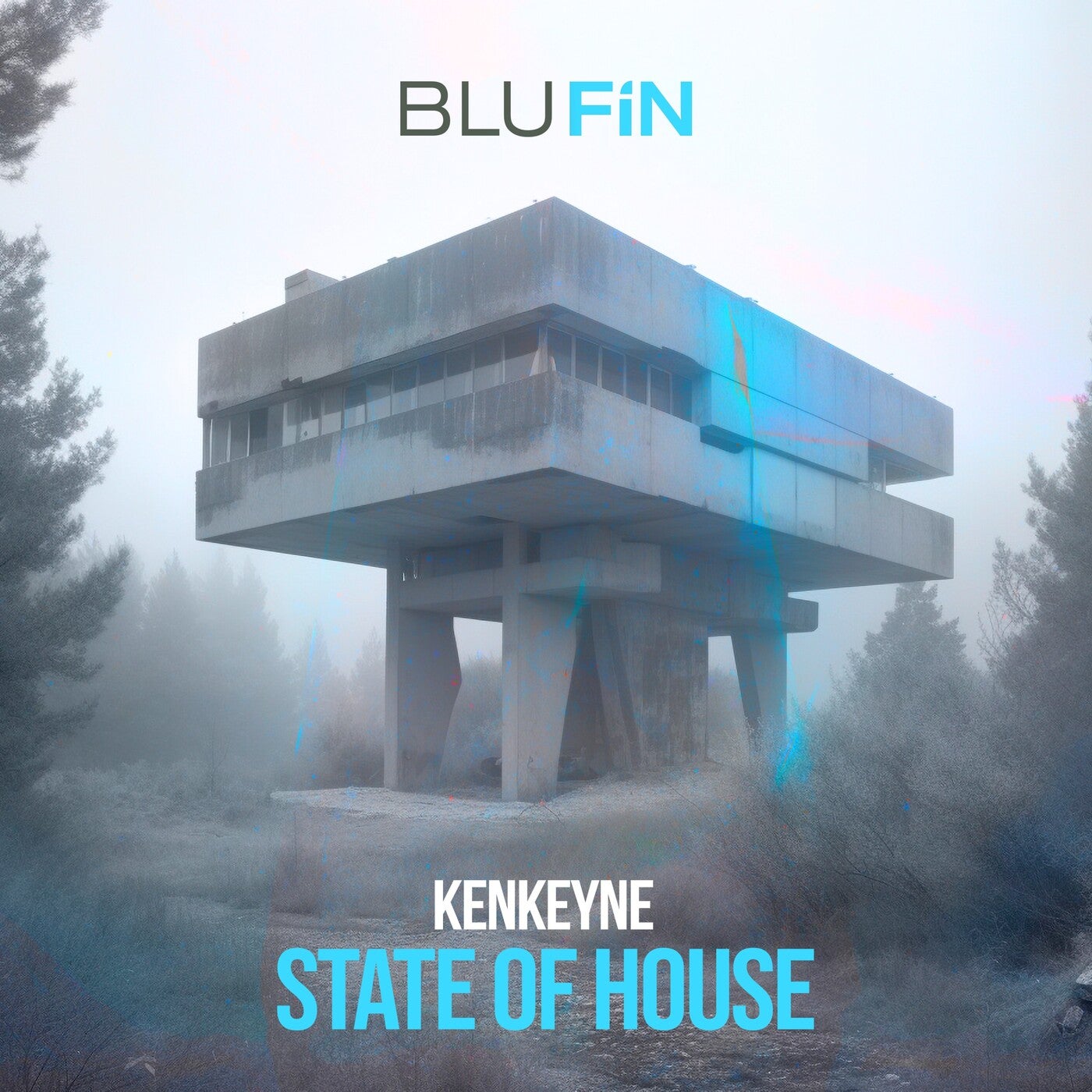 image cover: State Of House - Kenkeyne on BluFin