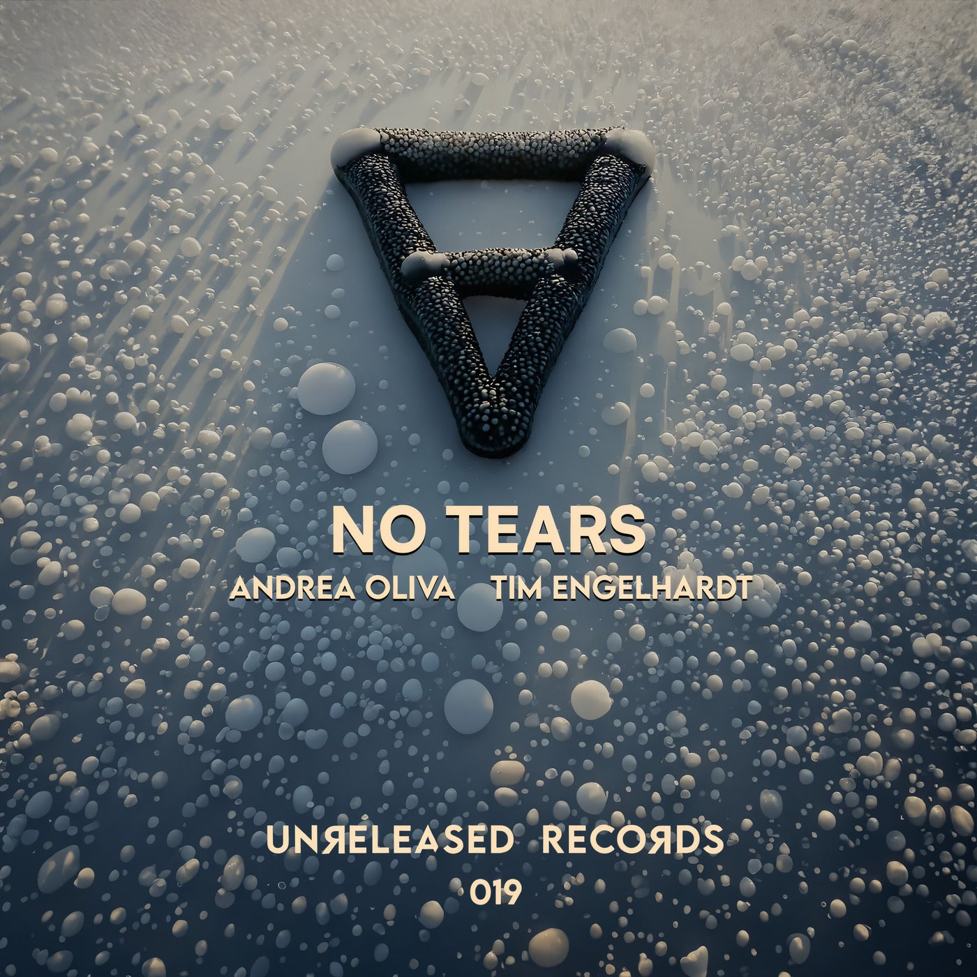 image cover: Andrea Oliva, Tim Engelhardt - No Tears on Unreleased Records