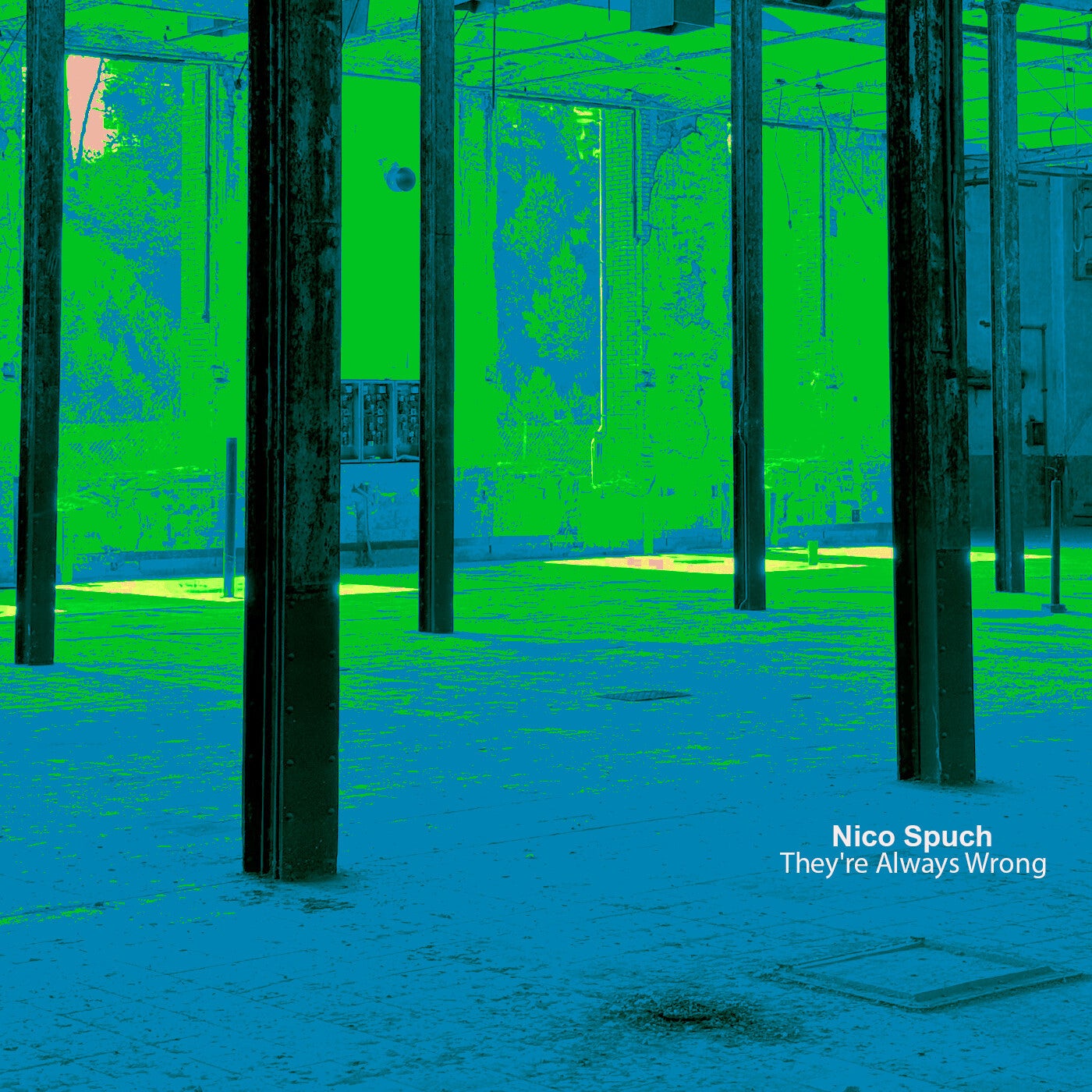 image cover: Nico Spuch - They're Always Wrong on Xelima Records