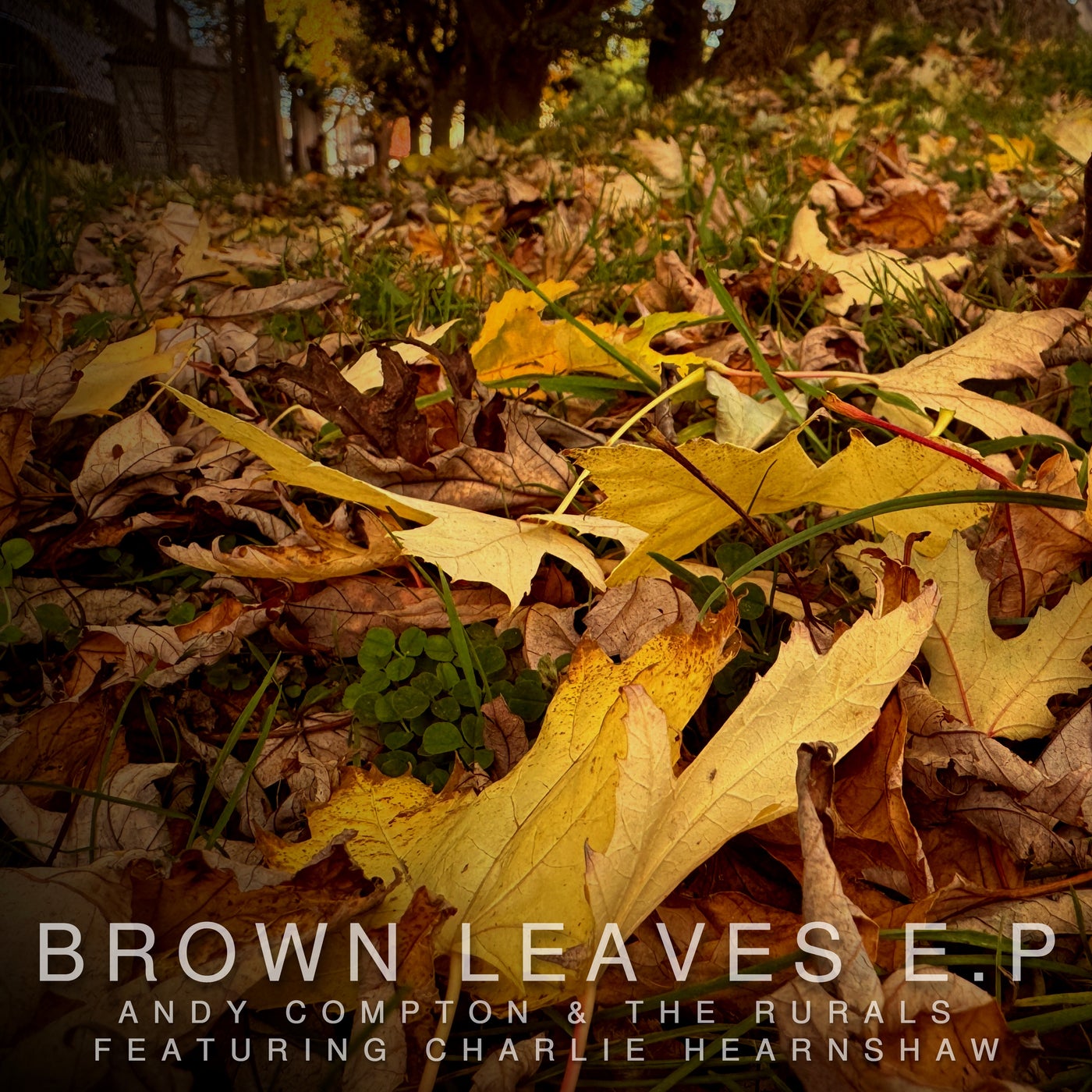 image cover: The Rurals, Andy Compton - Brown Leaves E.P on Peng