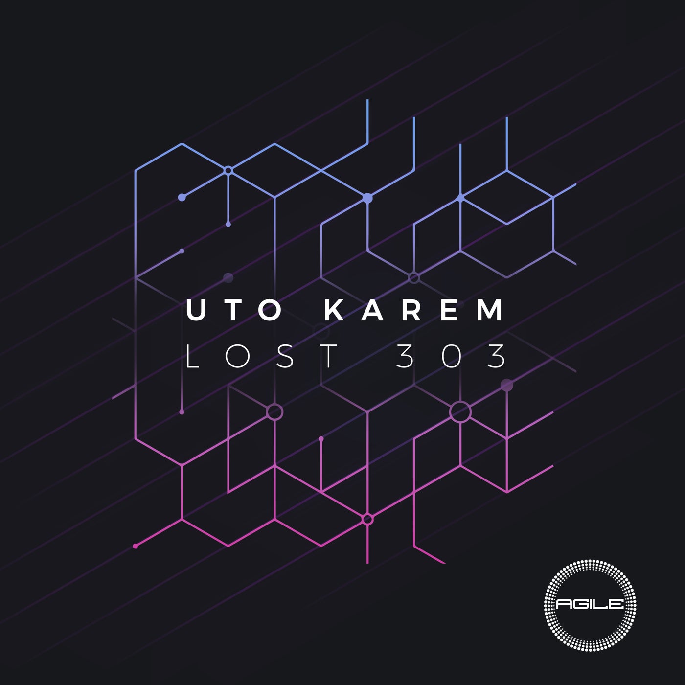 image cover: Uto Karem - Lost 303 on Agile Recordings