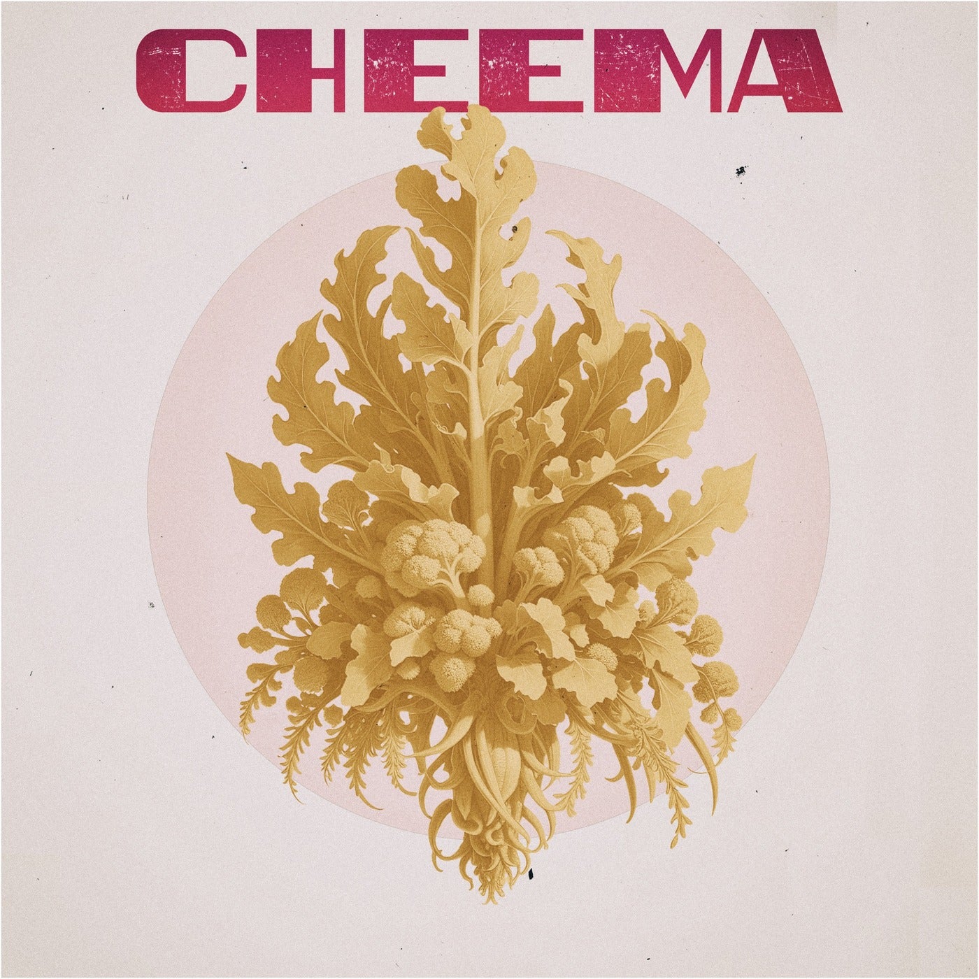 image cover: Cheema (IT) - Pulliatronica on Connaisseur Recordings