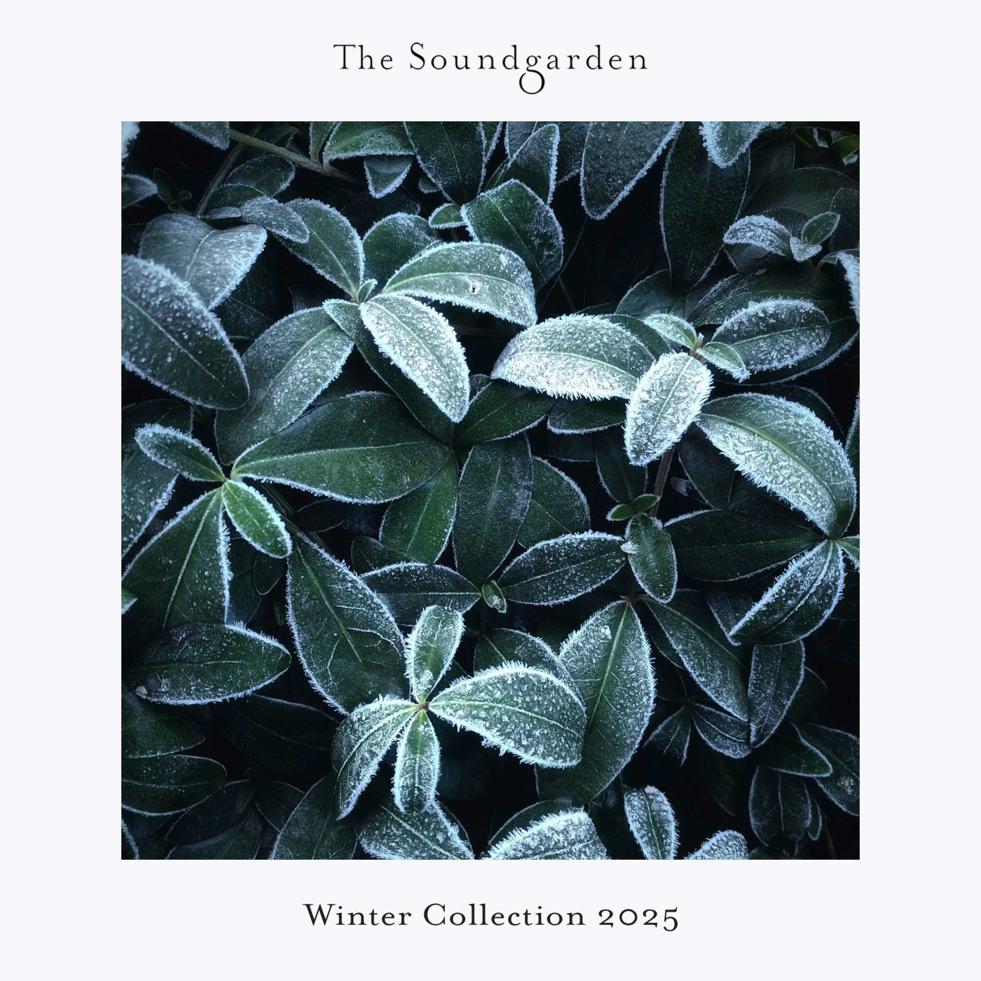 image cover: VA - Winter Collection 2025 on The Soundgarden