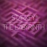 Cover Image for The Labyrinth Original Mix