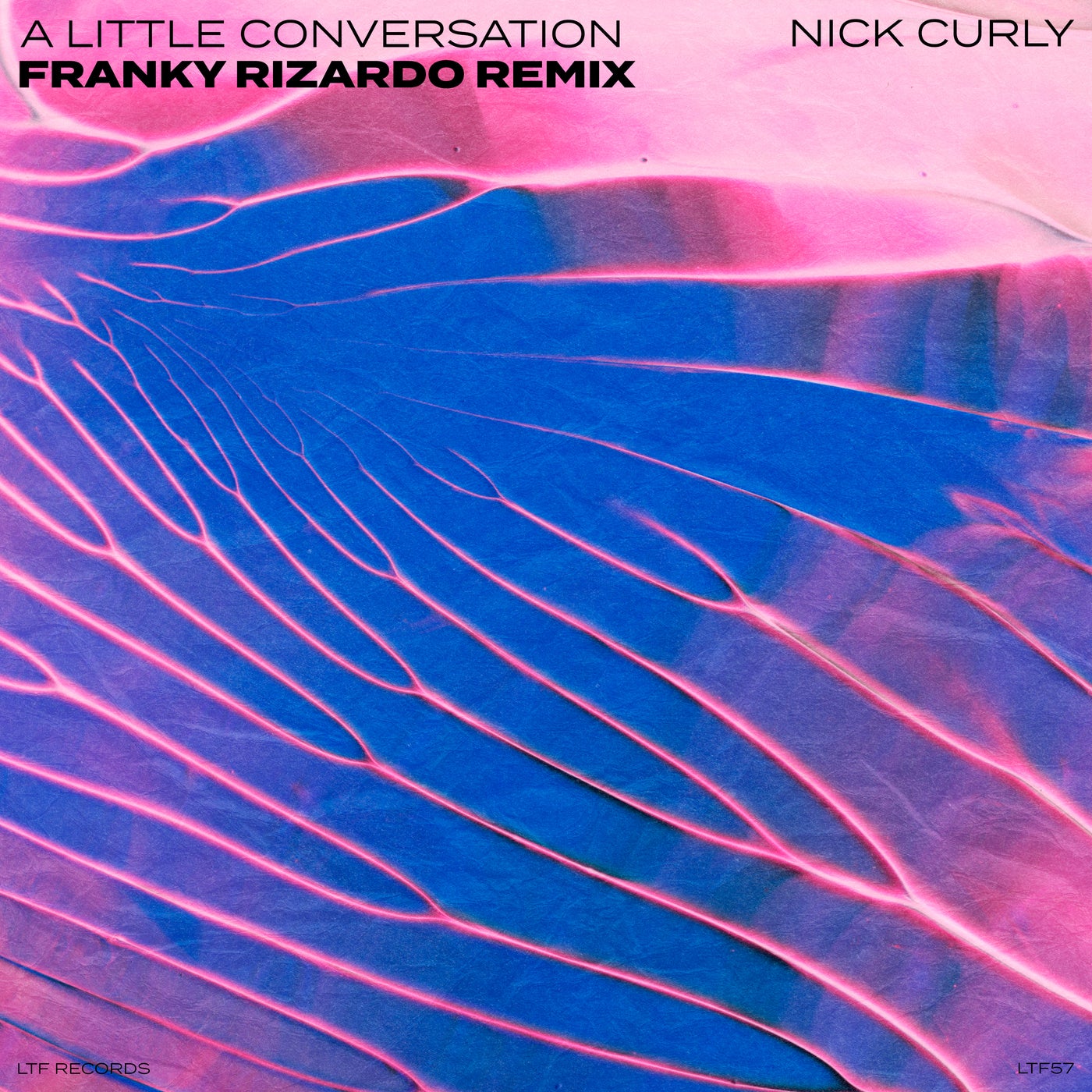 image cover: Nick Curly - A Little Conversation - Franky Rizardo Extended Remix on LTF Records