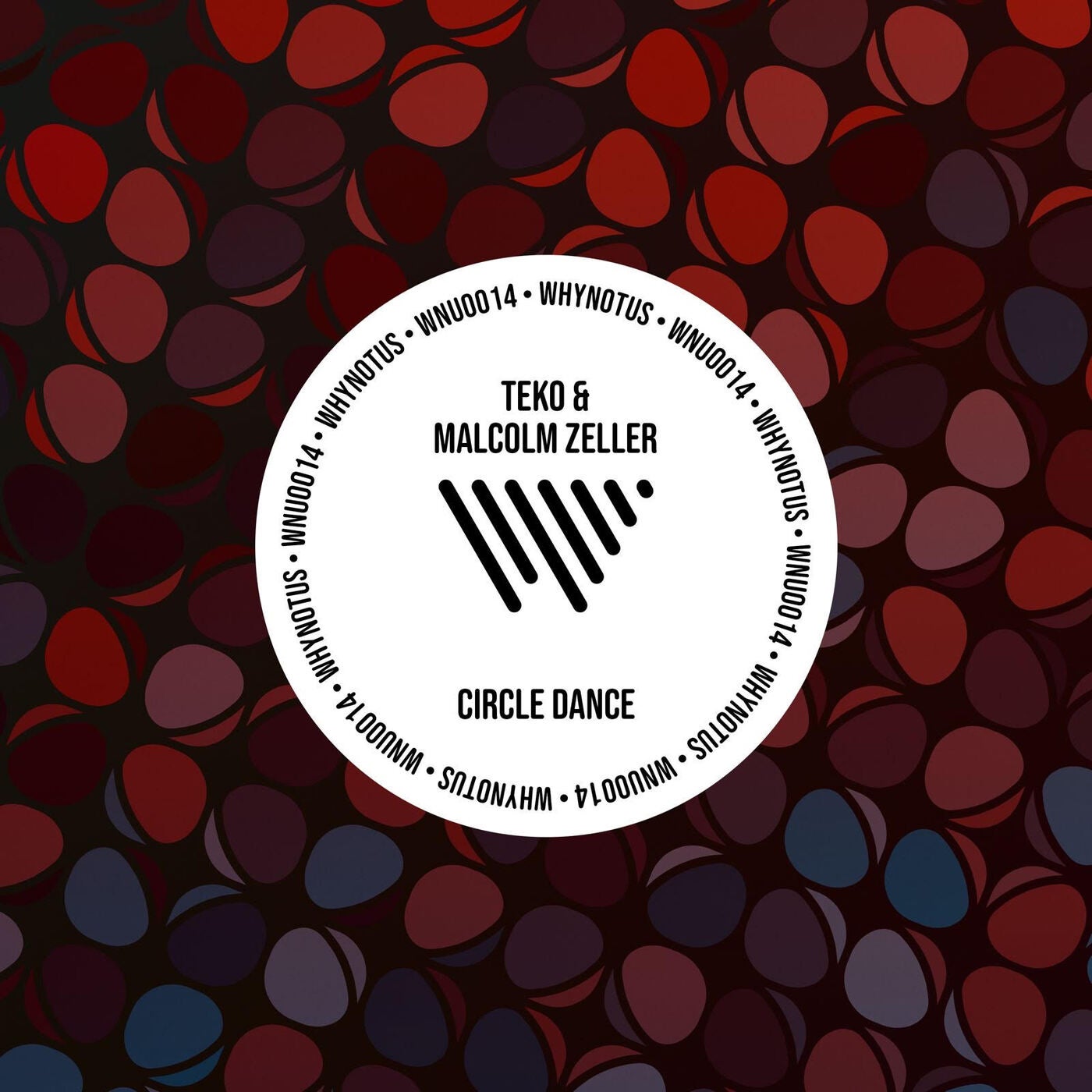 image cover: TEKO, Malcolm Zeller - Circle Dance on WHYNOTUS