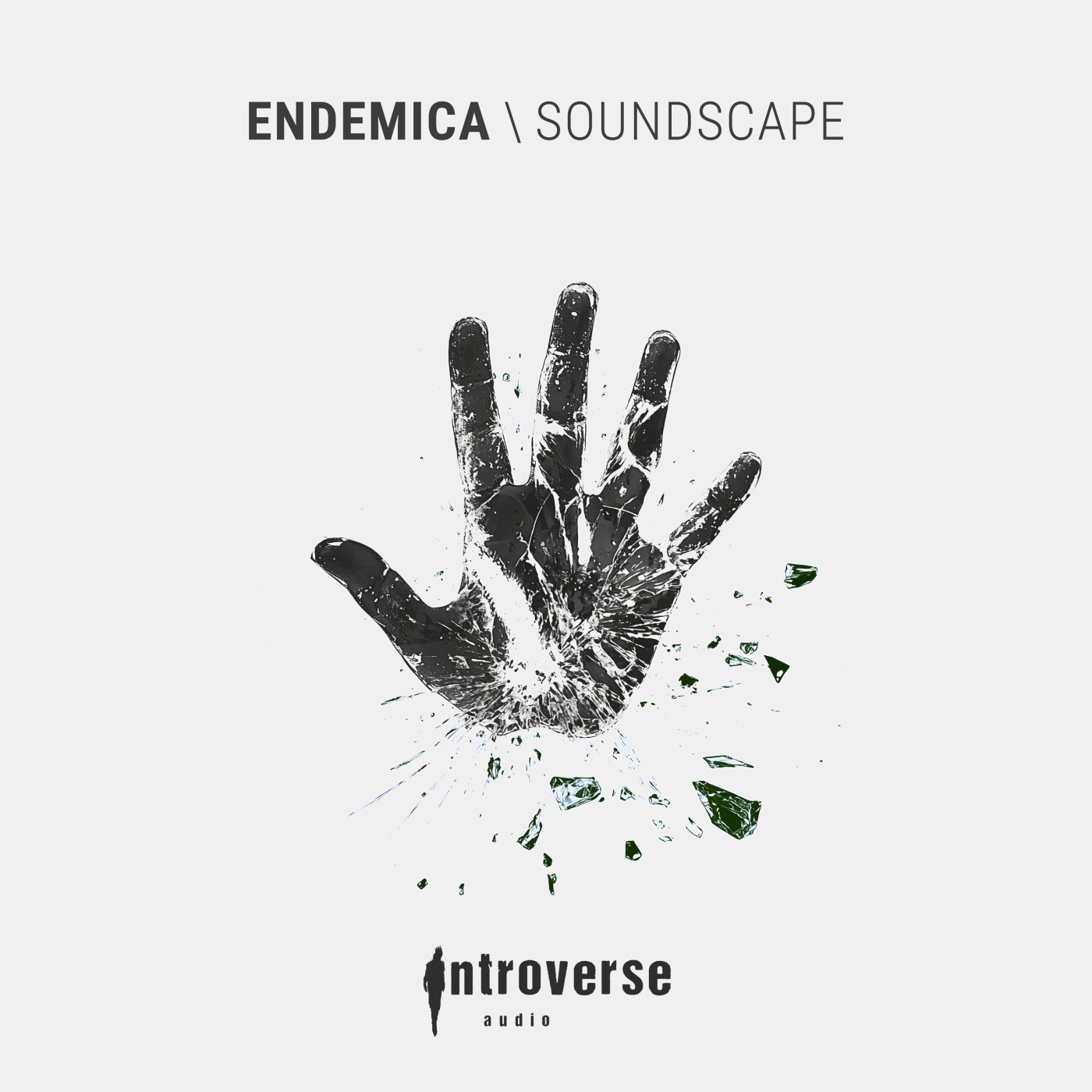 image cover: Endemica - Soundscape on Introverse Audio