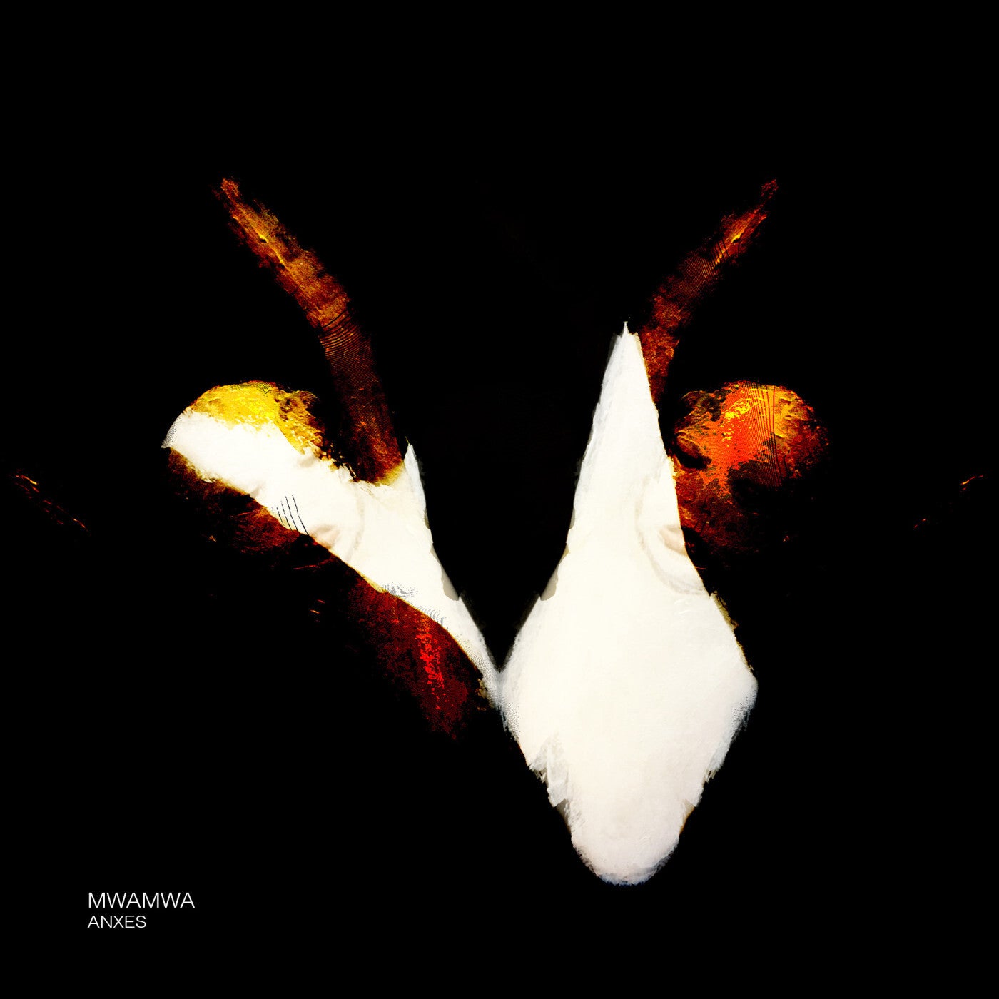 image cover: Mwamwa - Anxes on CommonSense Records