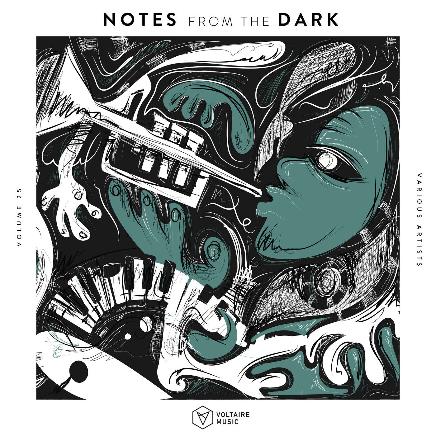 image cover: VA - Notes From The Dark Vol. 25 on Voltaire Music