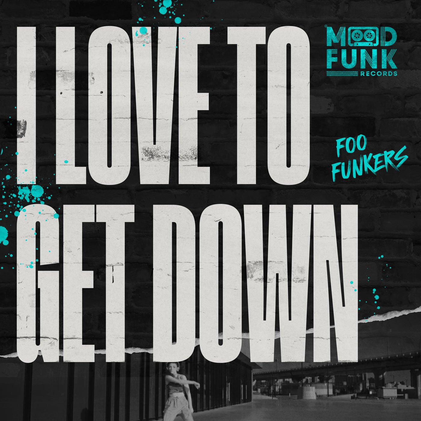 Cover Image for Foo Funkers - I Love To Get Down on Mood Funk Records