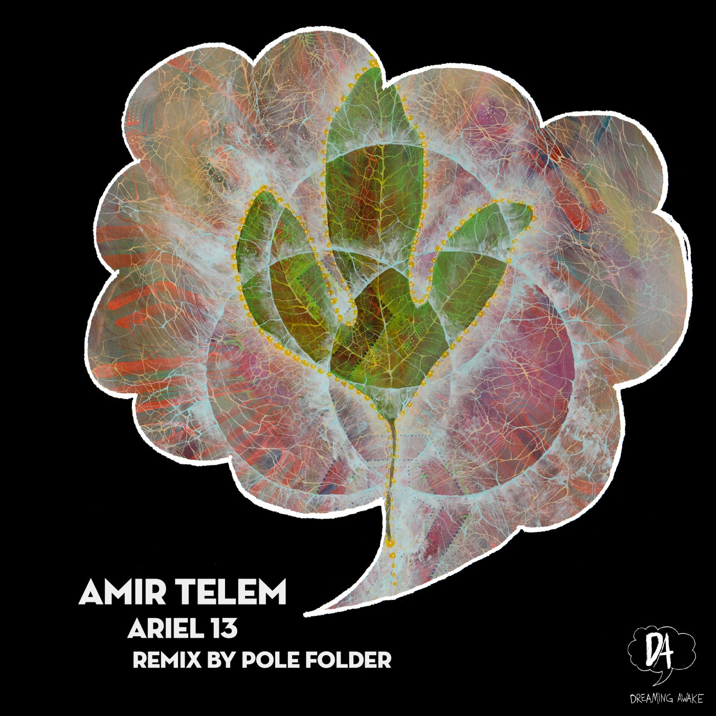 Cover Image for Amir Telem - Ariel 13 on Dreaming Awake