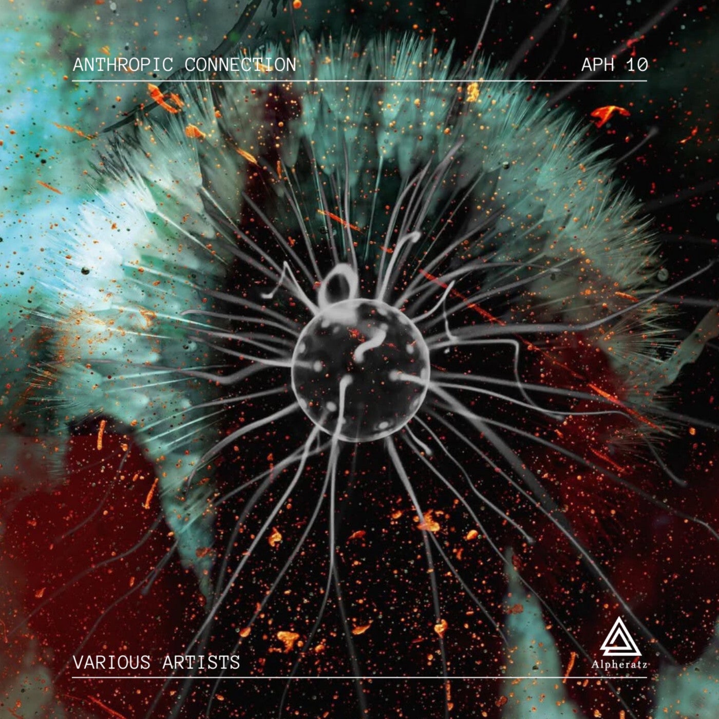 image cover: VA - Anthropic connection on Alpheratz Records