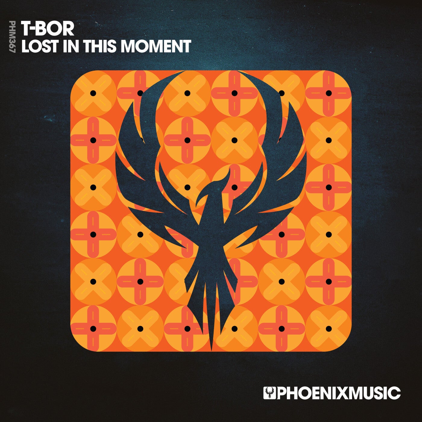 image cover: T-Bor - Lost In This Moment on Phoenix Music Inc