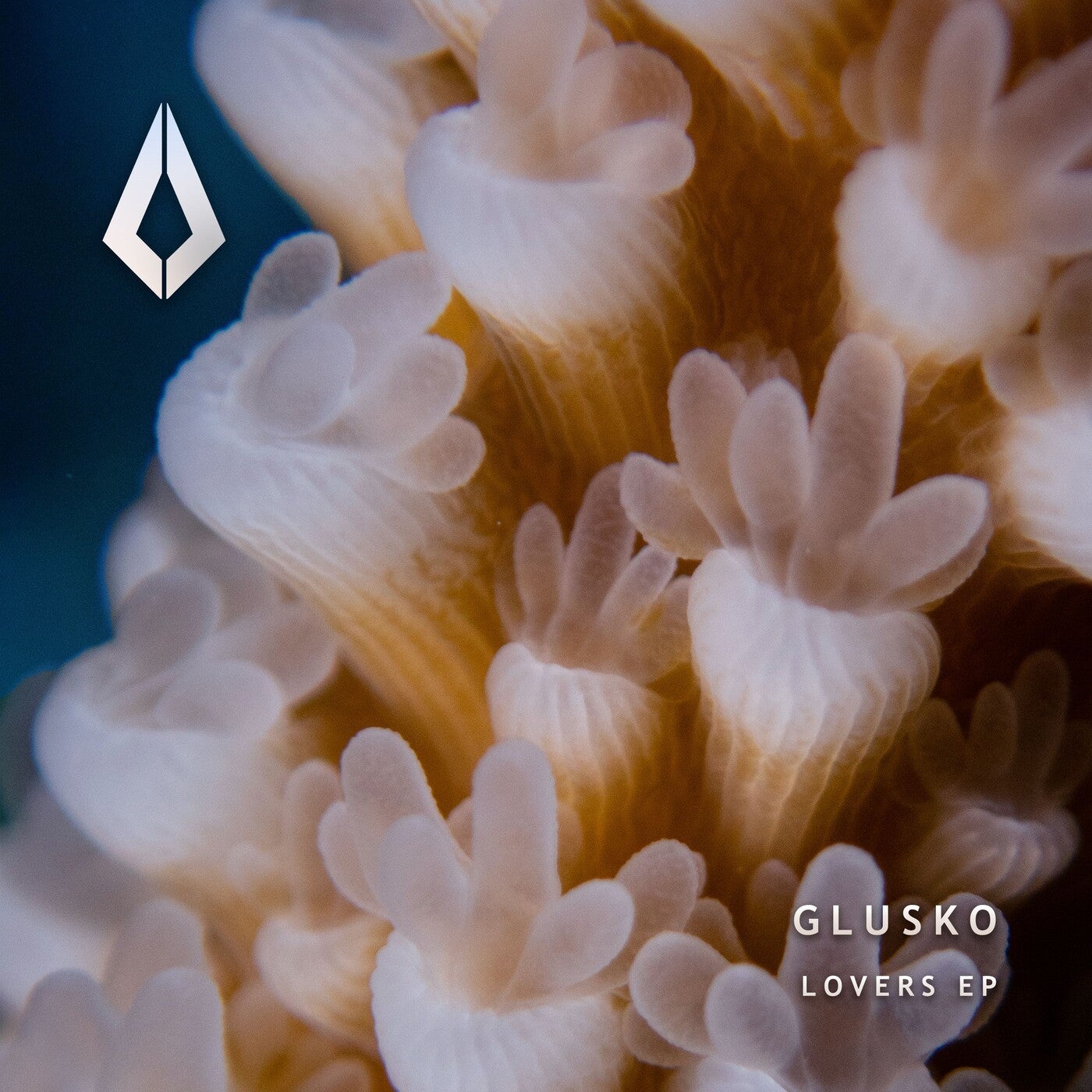 image cover: Glusko, Thomas Gandey - Lovers on Purified Records