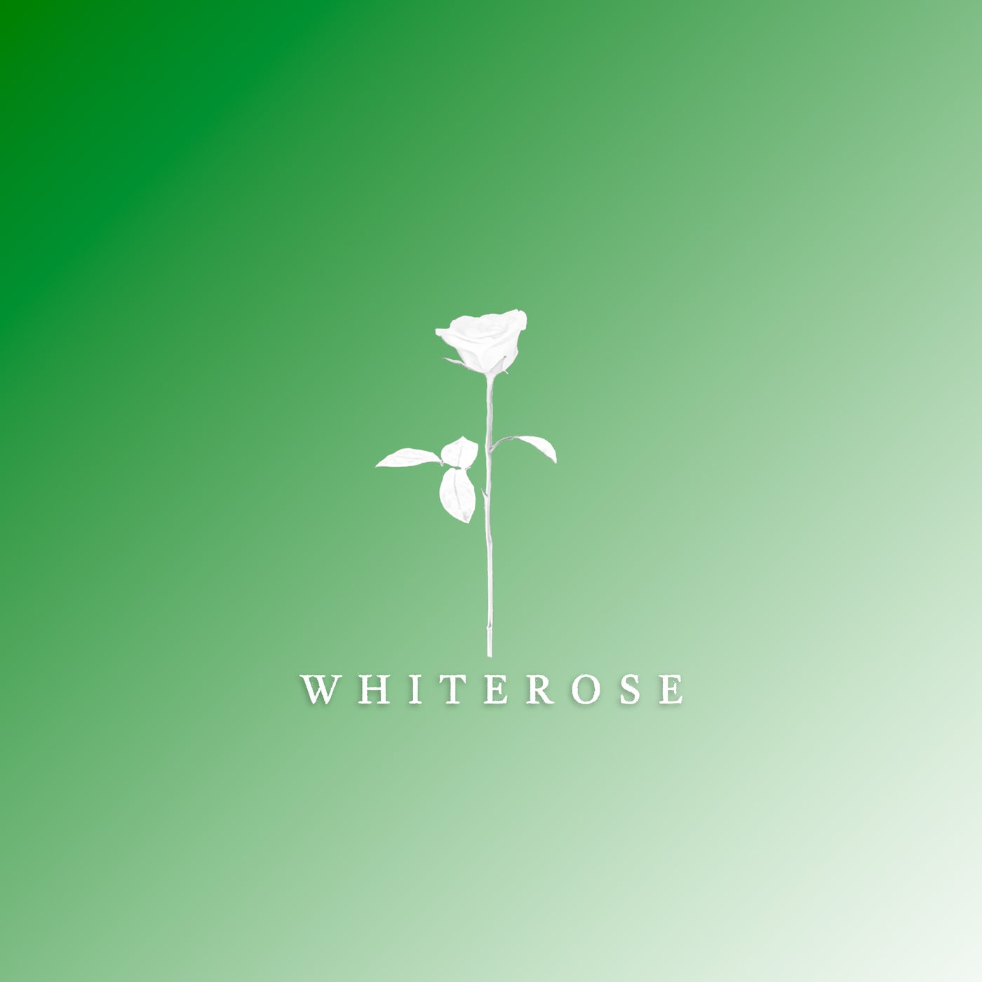 image cover: Mumboi, Hozair - Freedom Dance on White Rose Recordings