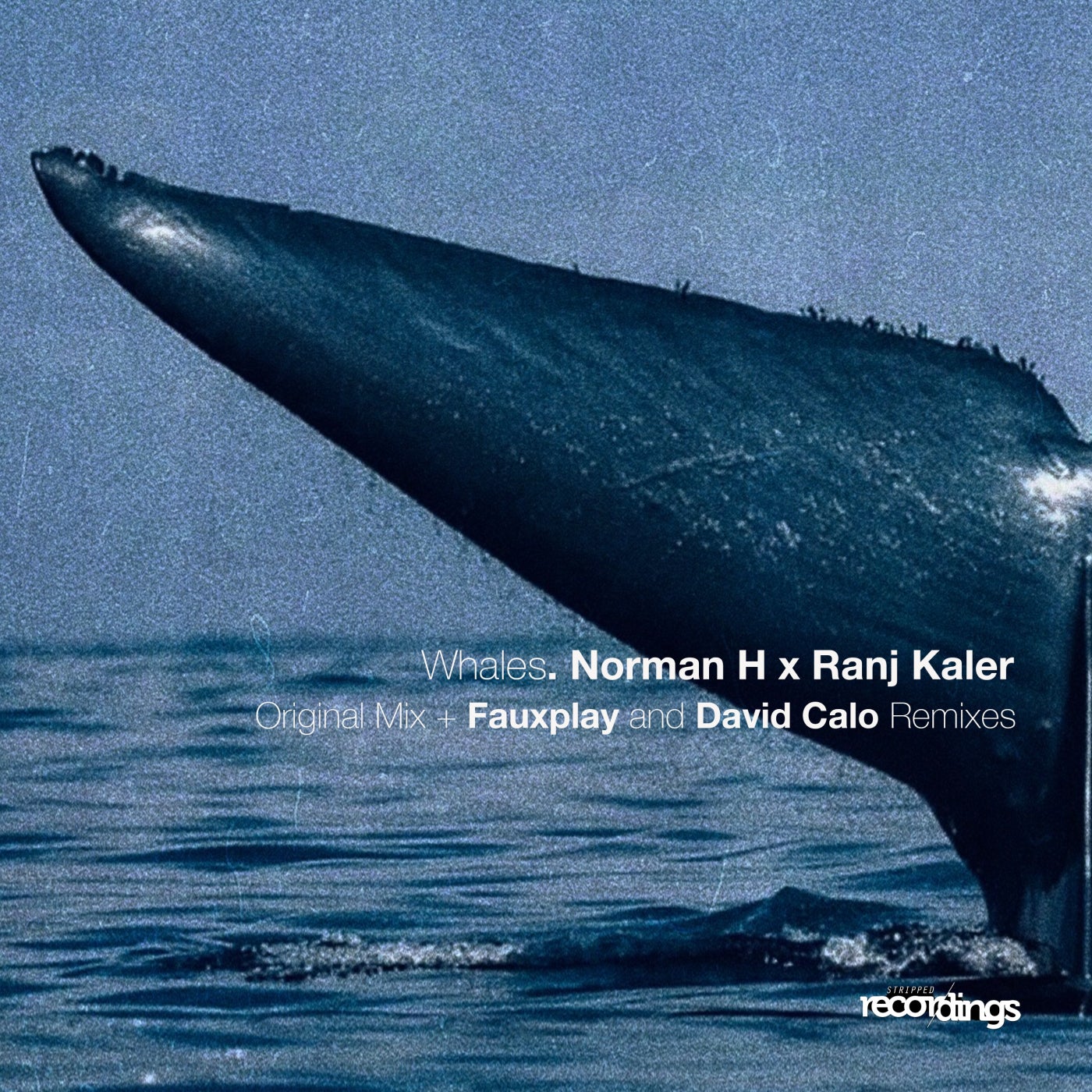 image cover: Norman H, Ranj Kaler - Whales on Stripped Recordings