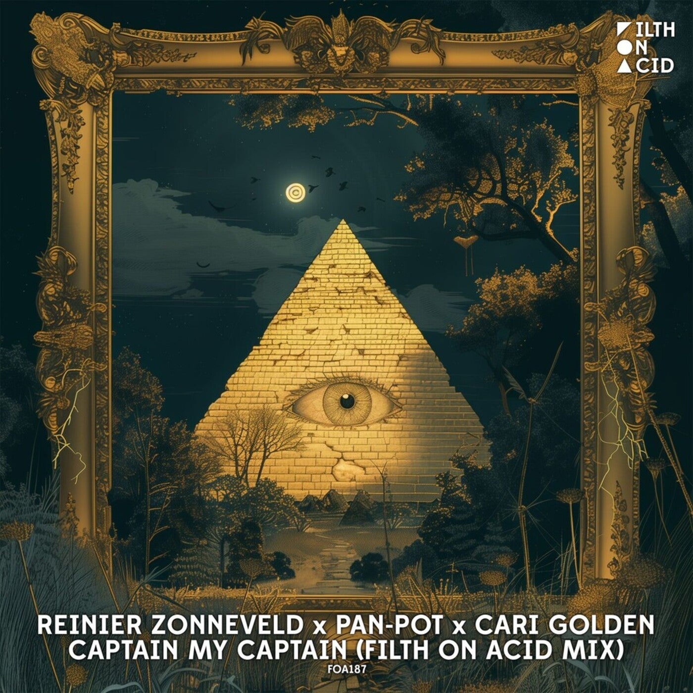 image cover: Pan-Pot, Cari Golden, Reinier Zonneveld - Captain my Captain (Filth on Acid Extended Mix) on Filth on Acid