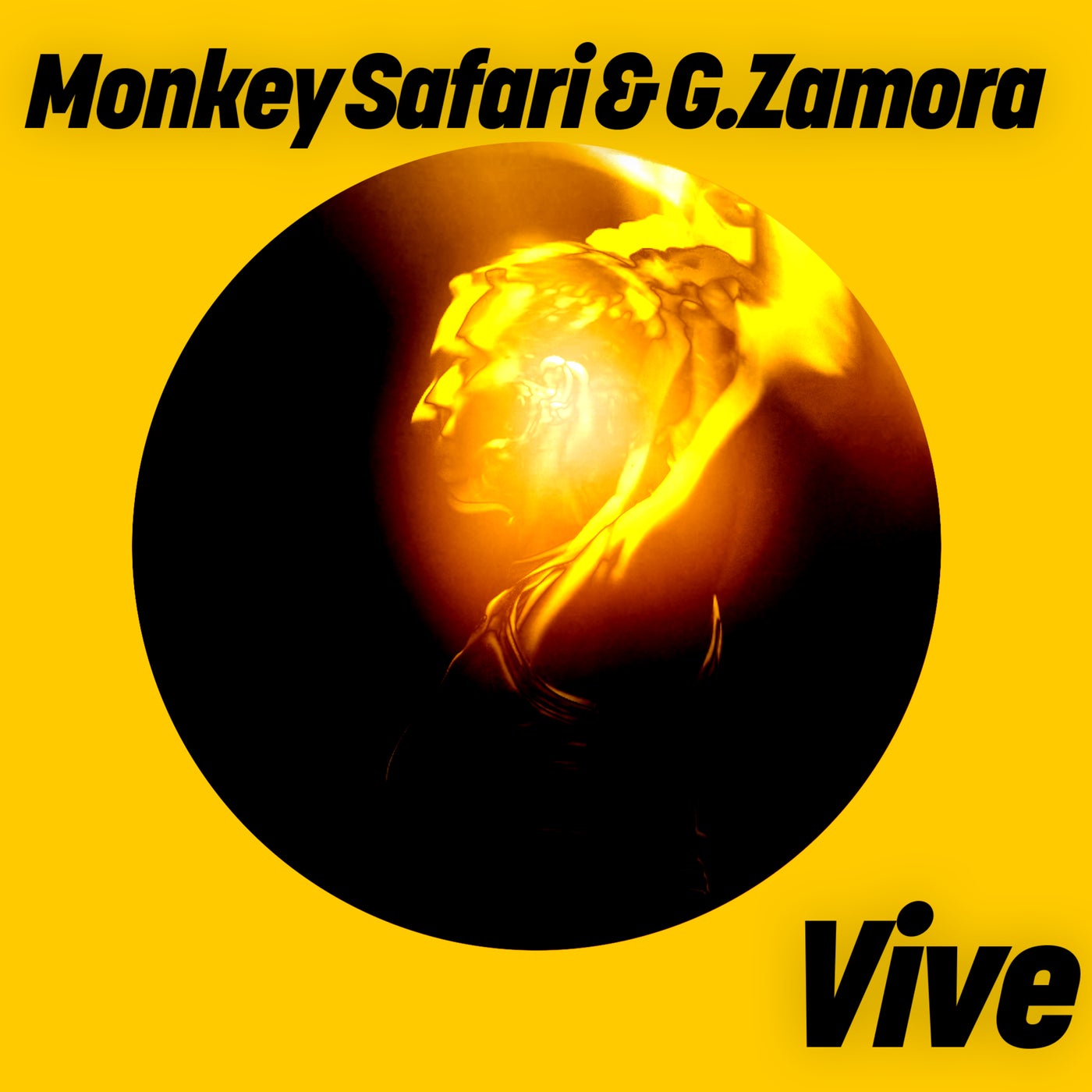 image cover: Monkey Safari, G.Zamora - Vive on Get Physical Music