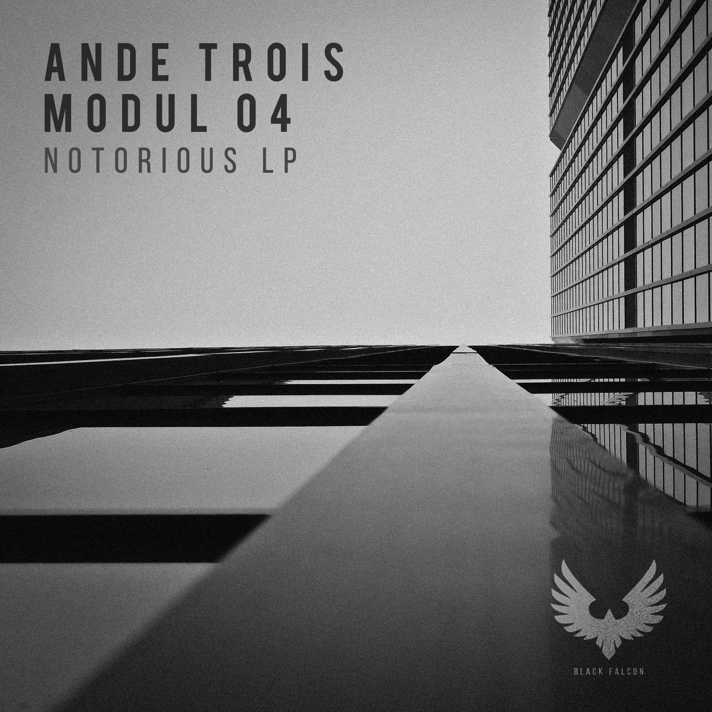 image cover: MODUL 04, AnDe Trois - Notorious on Black Falcon Records