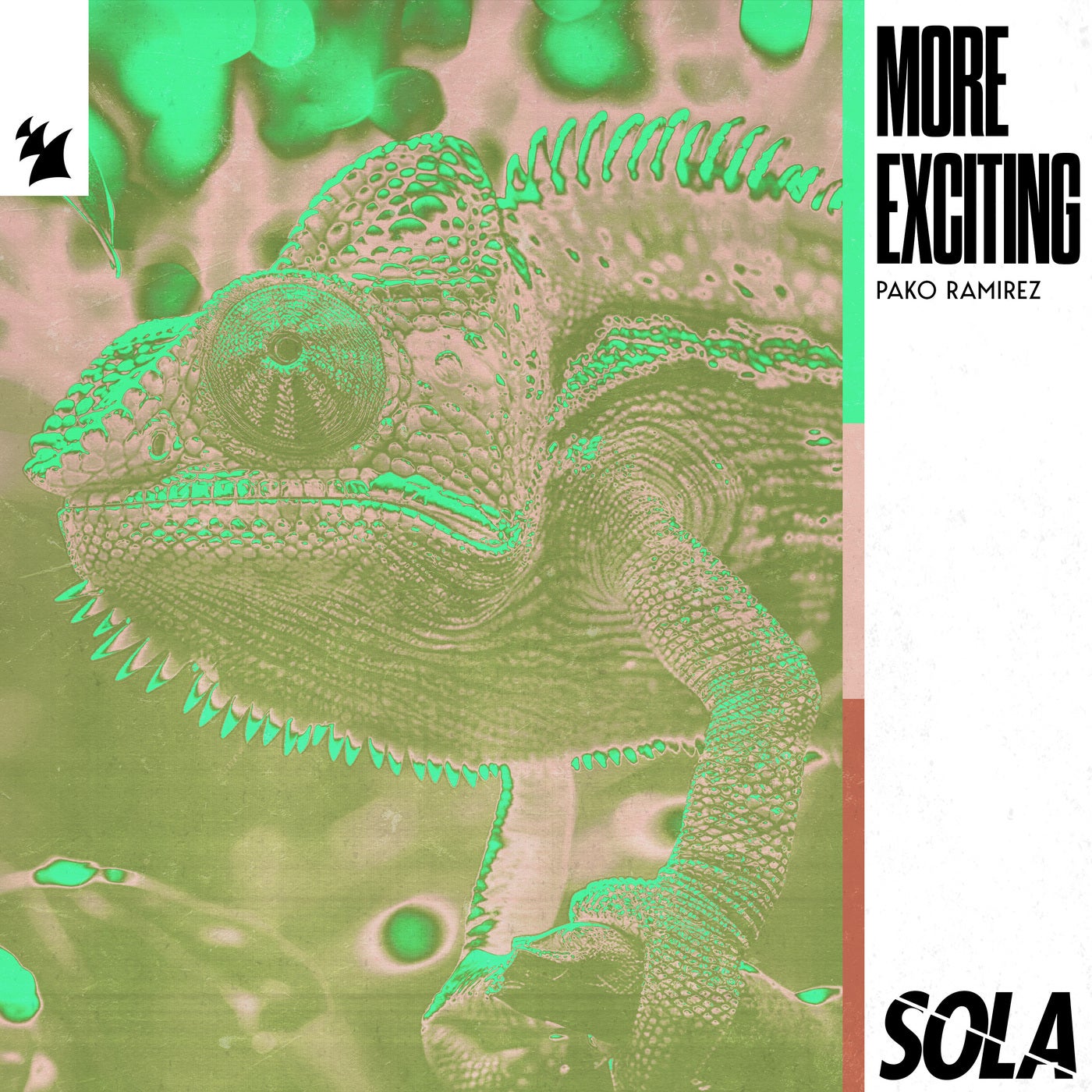 image cover: Pako Ramirez, Timo Tapani - More Exciting on Sola