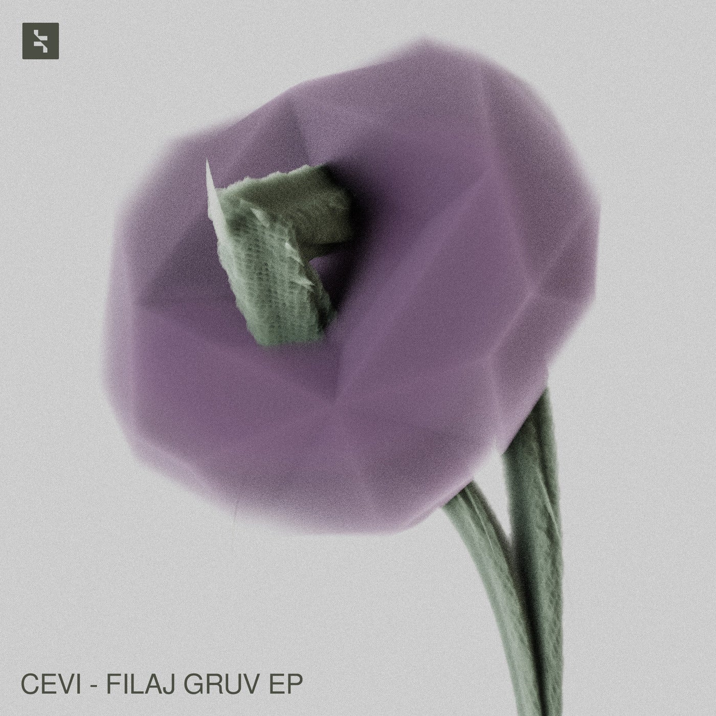 image cover: Cevi - Filaj Gruv EP on Kongres