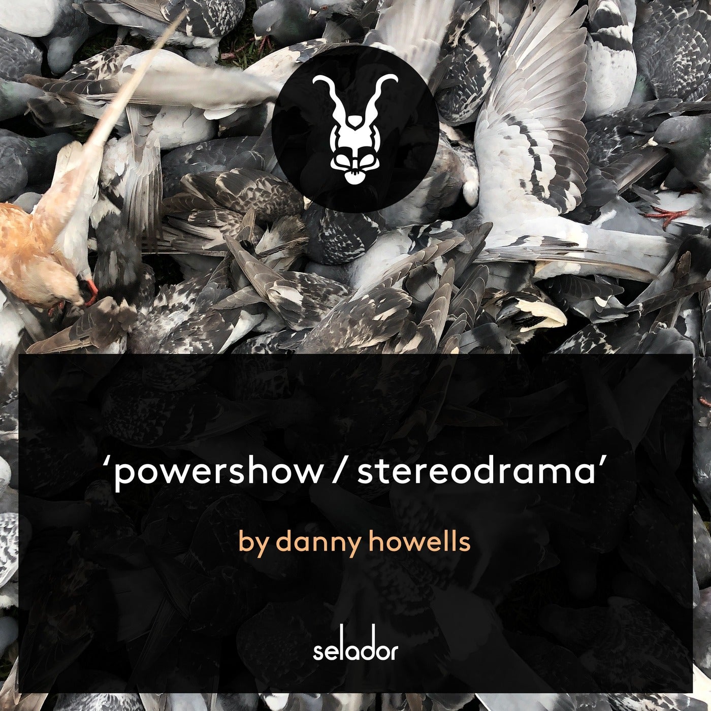 image cover: Danny Howells - Powershow / Stereodrama on Selador