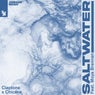 Cover Image for Saltwater feat. Moya Brennan Extended Mix