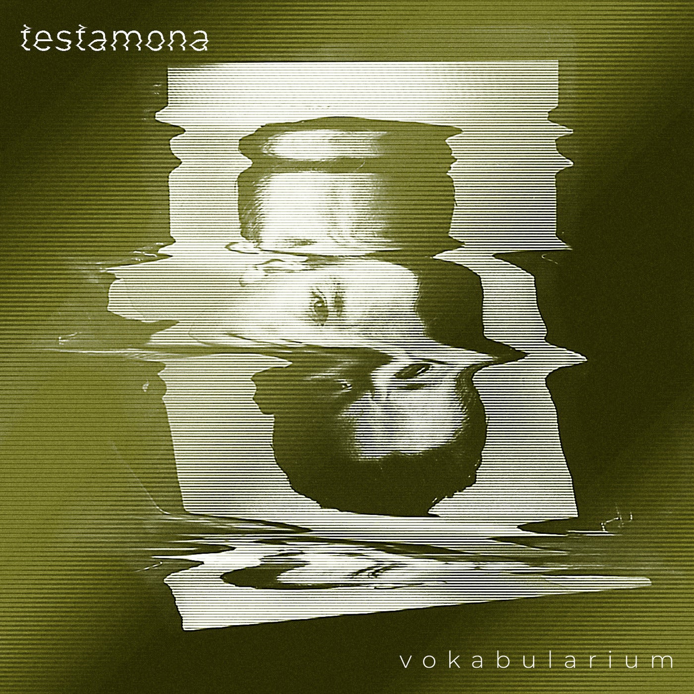 Cover Image for Denis Horvat, Lilli Ellen - Testamona on Vokabularium