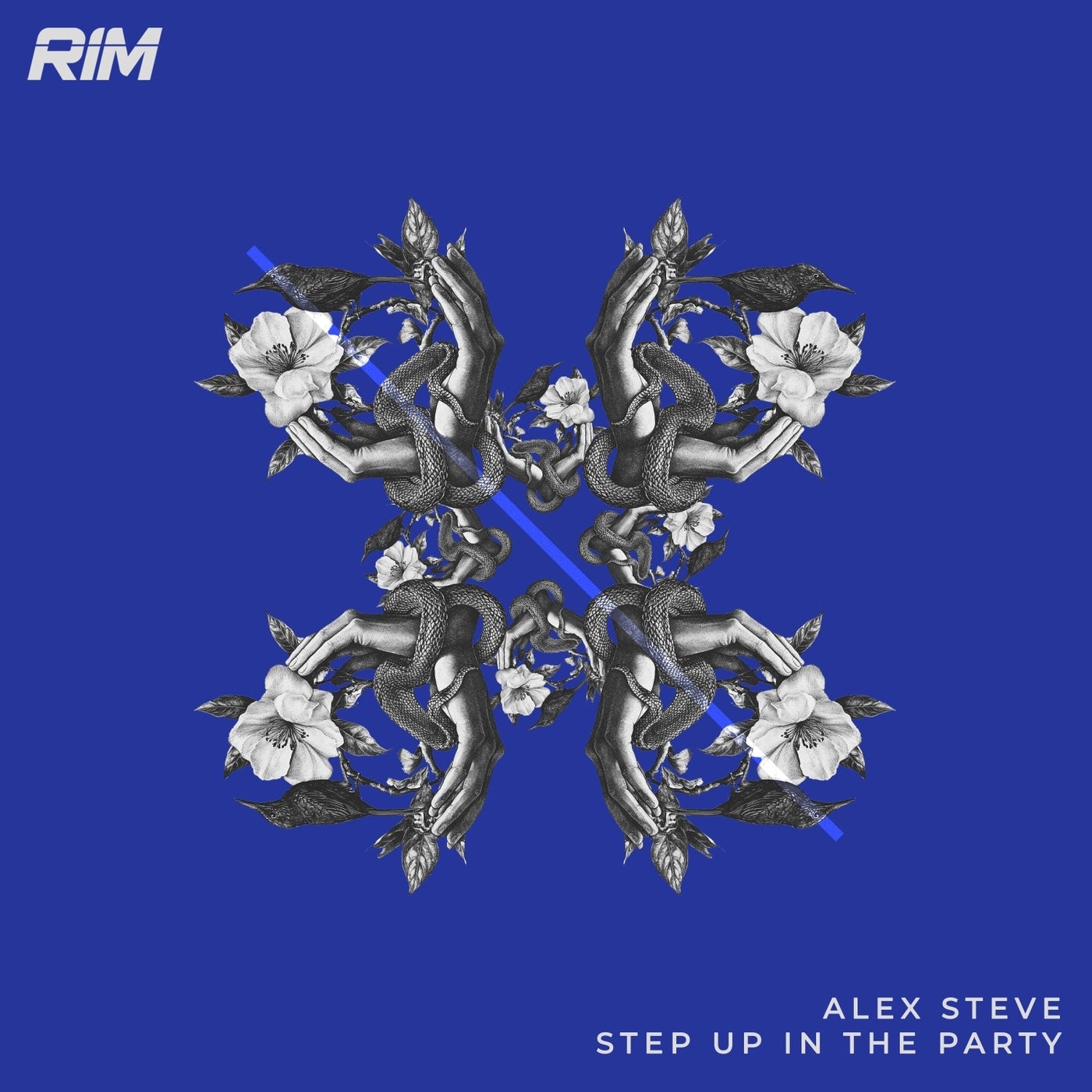 image cover: Alex Steve - Step up in the Party on RIM