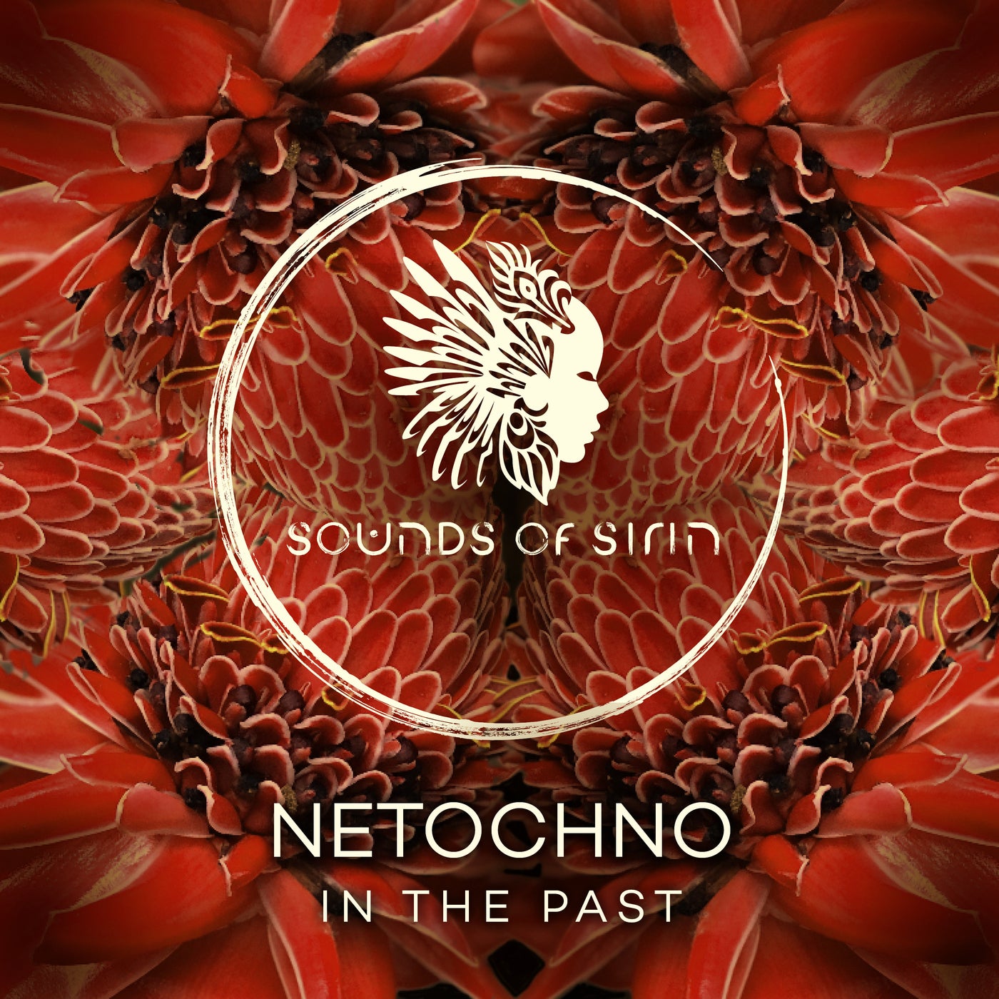 image cover: Netochno - In The Past on Sounds Of Sirin