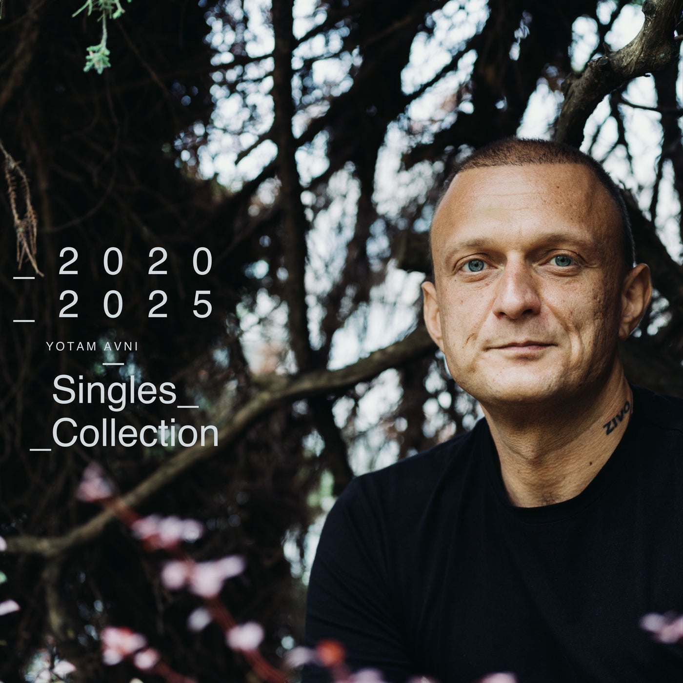 image cover: Yotam Avni - 2020-2025 Singles Collection on AVNIart