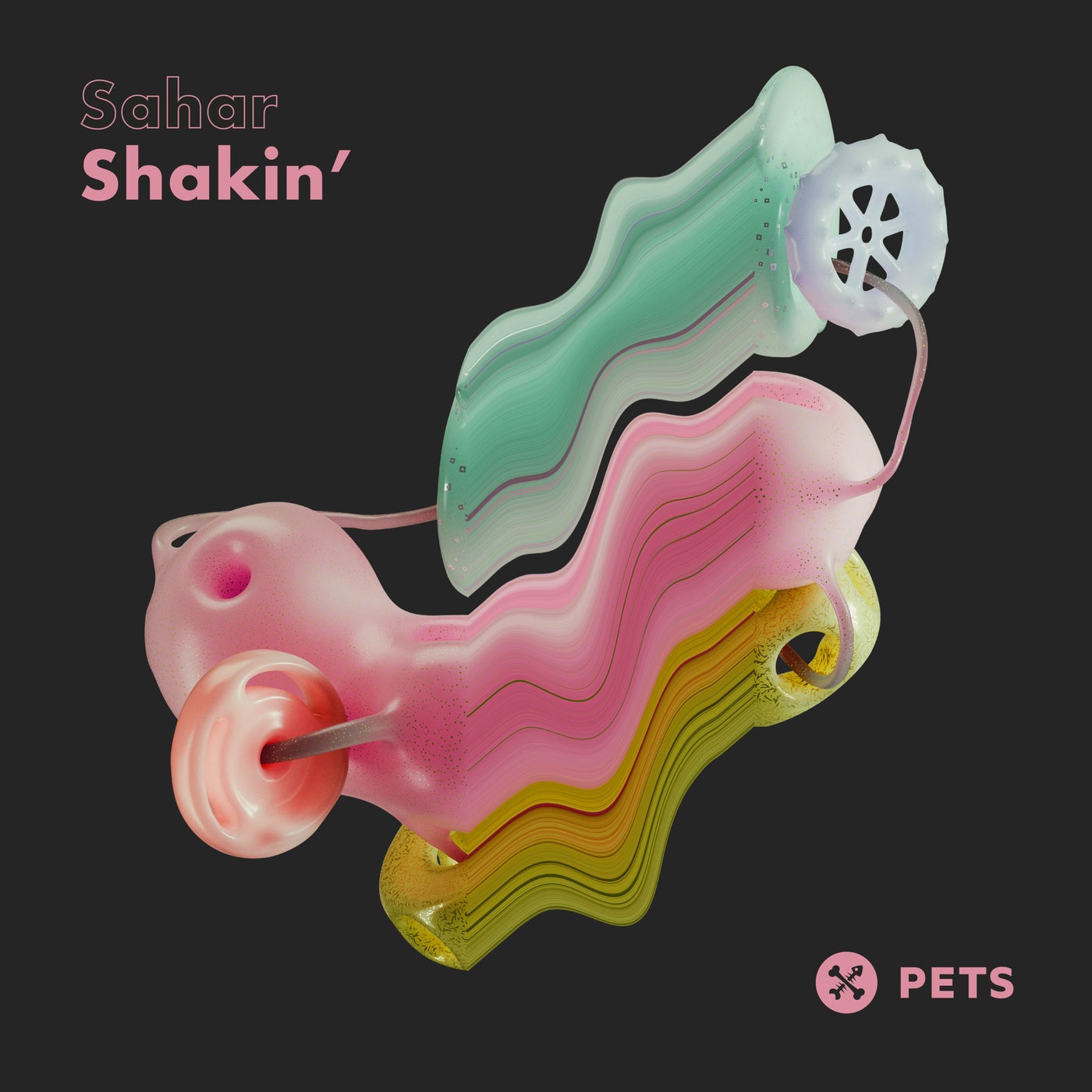 image cover: Sahar - Shakin' EP on Pets Recordings