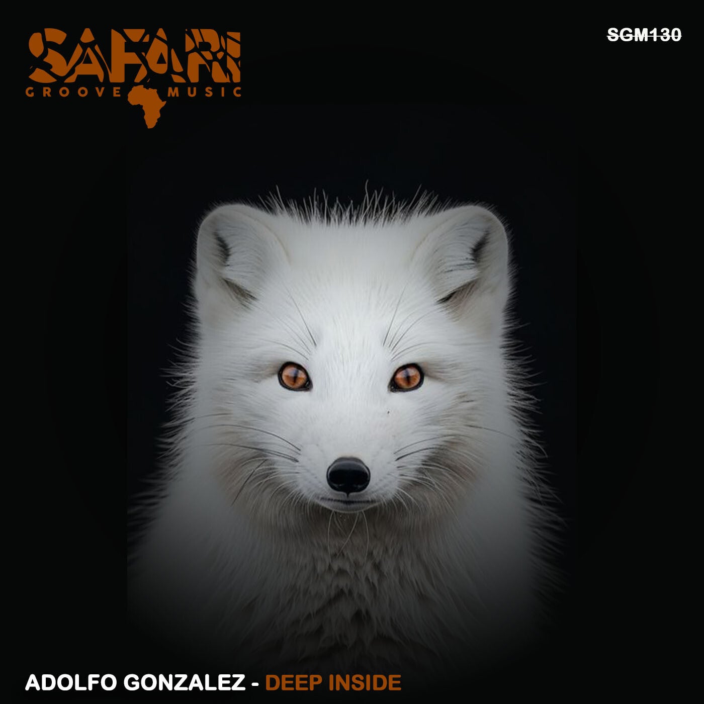 image cover: Adolfo Gonzalez - Deep Inside on Safari Groove Music