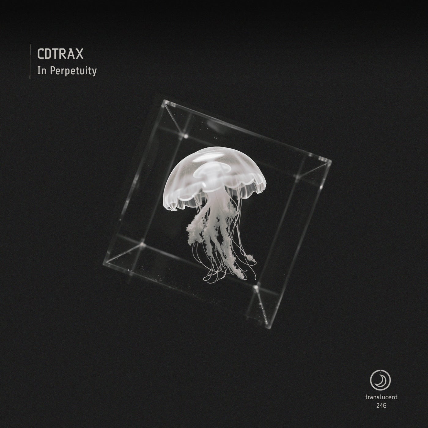 image cover: CDTRAX - In Perpetuity on Translucent